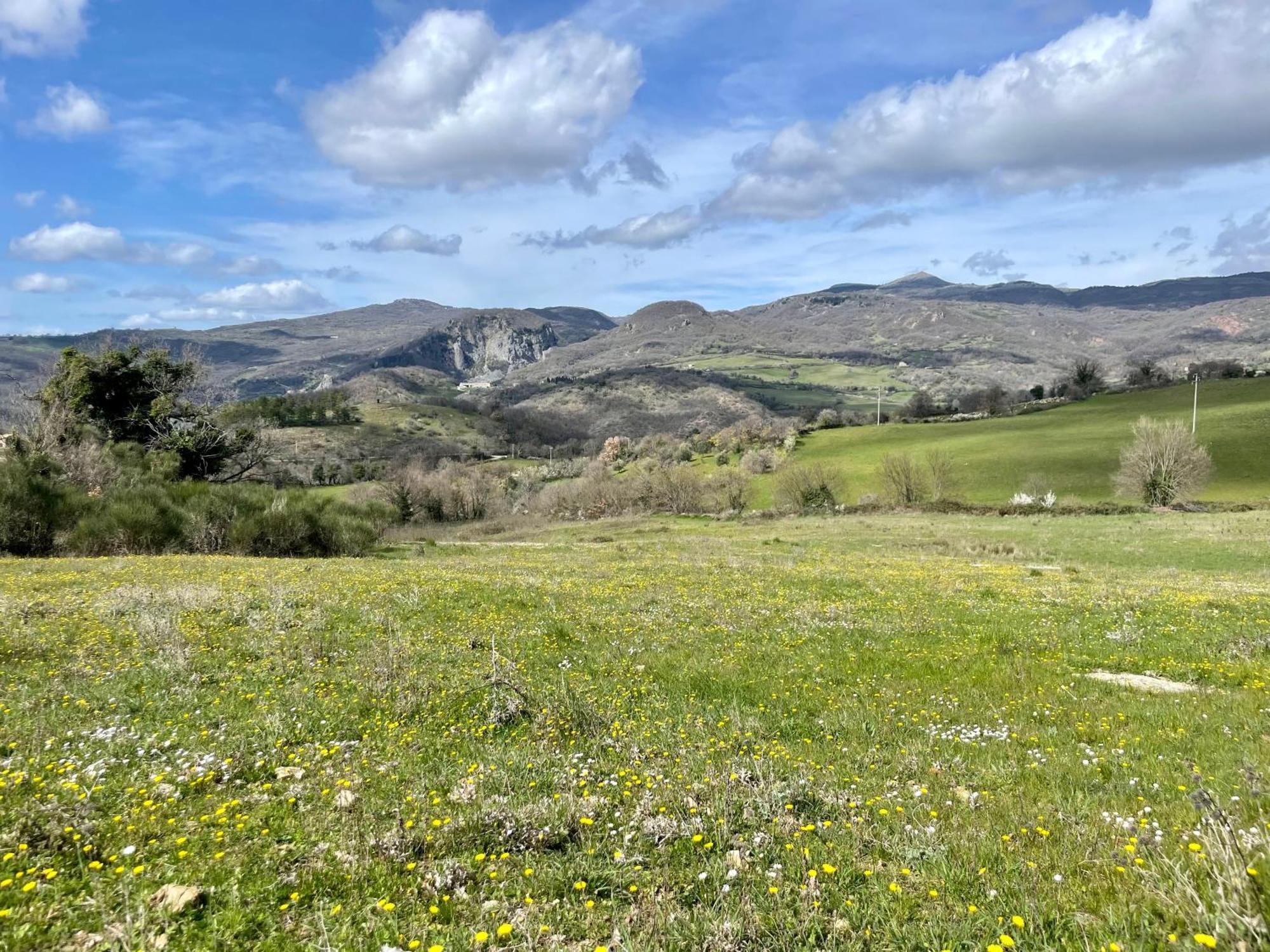 Podere Casagrande Villa Roccalbegna Esterno foto